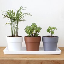 화담 토분 플리츠화분 토분화분 분갈이화분, 1호 화이트