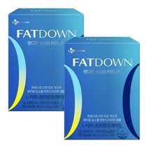 CJ 팻다운 부스터 카르니틴 6입X2개 부모님 명절 회사 직원 어버이날 선물, 9set