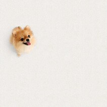 파크론 펫노리터 냄새케어논슬립애견매트 확장형와이드 포근하개아이보리 140x100