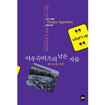 아우슈비츠의 남은 자들:문서고와 증인, 새물결, 조르조 아감벤 저/정문영 역