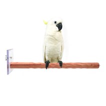 버펠 특수목 한쪽고정 횃대(특대) 50cm /청금강/홍금강/그레이트코카투