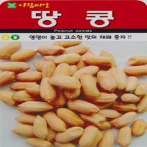 AR 땅콩 20g 국산 햇땅콩 씨앗