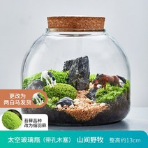 DIY 미니 작은 이끼 수생 식물 생태병 사무실 책상 장식 테라리움 꾸미기, 산간 야목, 함분