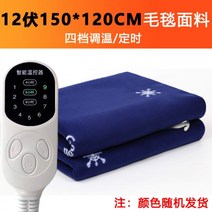 차량용 전기장판 차박 캠핑카 카라반 파워 뱅크 12V 24V 대형 화물차 승용차 1인 2인 크기, 02. 2인용 12v 150x120cm