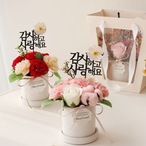 메르시 비누꽃 카네이션 로즈 화분 세트, 용돈봉투, 코튼핑크