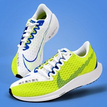 나이키 Ekiden 팩 러닝 신발 여성 줌 라이벌 플라이 2 조깅 마라톤 이동 큰 로고 비행 녹색 흰색 DC 5240