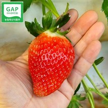킹스베리 생딸기 논산딸기 1kg, 킹스베리_실속(21~34g), 1개