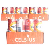 셀시우스 스파클링 오렌지 맛, 354.9ml, 48개입