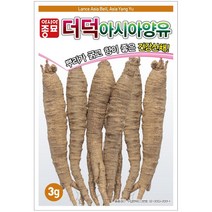 아시아종묘 더덕씨앗 아시아양유 더덕 (60g)