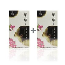 1+1 일진 초담 트리트먼트 헤어컬러/새치커버 5호 자연스런 갈색