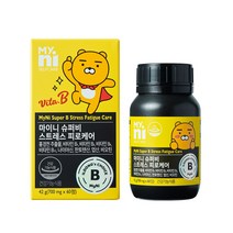 일동제약 마이니 스트레스케어비 로디올라 비타민B 홍경천 엽산 비오틴 수험생 야근 직장인 학업 스트레스 피로개선 도움 활력 영양제 추천, 2병, 60정(