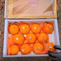 프리자연 제주 레드향 프리미엄 명품 고당도 선물세트 2kg 3kg 5kg, 레드향 명품 선물세트 특대과 5KG(8-16과)