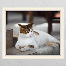 [바보사랑] ij247-요염한고양이_창문그림액자_뮤럴시트지[꾸밈], 상세 설명 참조, 타입선택:B타입-외부창문형