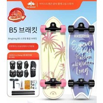 스케이트 보드 육상 서핑 보드 스케이트 보드 초보자 보드, (B5)30인치 -SunsetBoulevard