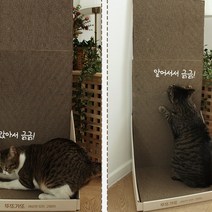 CAT 고양이 스크래쳐 모음 수직 삼각 땅콩 숨숨 물결, 수직스크래쳐