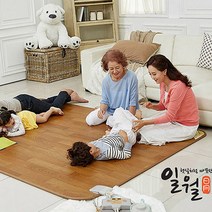 일월 온마루 카페트 매트 전기매트 에너지세이브 더마루 따사마루 탄소매트 홈쇼핑전기장판, 일월전기매트183x140cm(중형)
