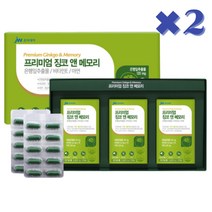 기억력 개선 은행잎추출물 비타민E 아연 징코 앤 메모리, 2박스, 90정