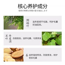 비듬 탈모 방지 시원한 두피샴푸 일본 300ml 생강 샴푸 탈모 대머리 비듬 효과적으로 보습 및 수리 모발, 한개옵션0
