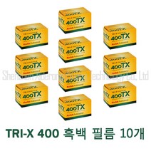 Kodak 코닥 TRI-X 400TX 프로페셔널 흑백 네거티브 필름 36컷 흑백필름, 10개