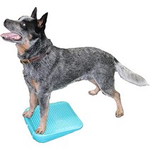 FitPAWS 핏포즈 램프 아쿠아