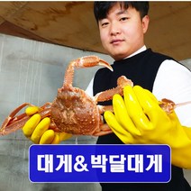 [예님푸드] 제철수산물 구룡포 산지직송 대게 중 3마리(생물), 단품