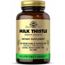 Solgar 솔가 밀크 시슬 Milk Thistle 식물성 100정, 1개