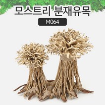모스트리 분재유목(M) [ M064 ] / 어항 베트남 유목