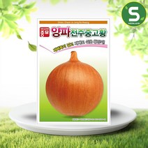 솔림텃밭몰 아시아종묘 양파씨앗 2.5g 천주중고황 단일성 황양파 중만생종