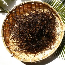 국내산 건 고사리 먹고사리 나물 100g, 1개