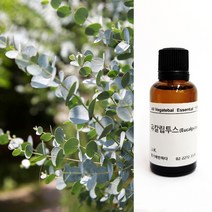 향기에반하다 유칼립투스 E.O 천연 아로마 에센셜 오일 30ml 50ml 100ml 비염 감기 기침 친환경 디퓨저 방향제 캔들 향료 화장품 비누만들기, 유칼립투스 천연 아로마 에센셜 오일 100ml