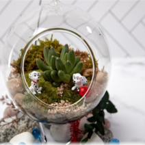 테라리움 DIY 키트, 피규어 : 달마시안/다육식물 : 수, 1개