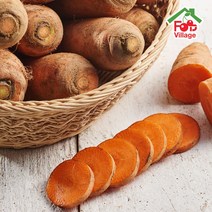 [푸드빌리지] 과일천하 제주 흙당근 3kg/5kg/10kg 즙용 요리용, 1개, 햇당근 5kg 즙용