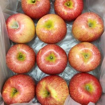 실속형 흠집 뉴질랜드품종 엔비사과 (사이즈랜덤), 1box, 5kg내외