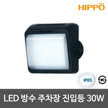 히포 LED방수등 방습등 외부벽등 욕실등 주차장등 모음, 18_LED주차장진입등 30W 블랙 전구색