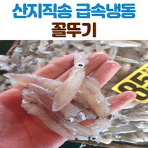 산지직송 급속냉동 꼴뚜기 500g 1kg, 꼴뚜기-중_1kg