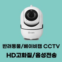 가정용 cctv 반려동물 강아지 고양이 베이비캠 모션 감지 무선 연결 보안 음성지원 HD 스마트폰, QCAM-S10