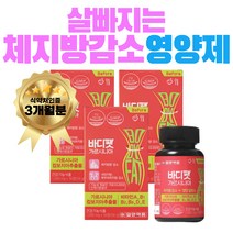 여자 여성 슬림 날씬 몸매 관리 가르시니아 식전 다이어트 보조제 비타민 허리 옆구리 살 팔뚝 얼굴 체지방 감소 빼는법 복부 피하 내장 지방 HCA 지방 합성 억제 탄수화물