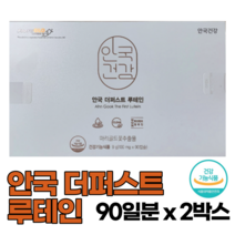 안국건강 안국 더퍼스트 루테인 100mg x 90캡슐, 2박스, 90일분