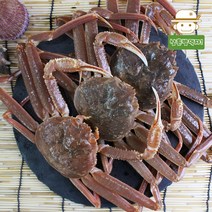 동해 현종호 선장이 직접잡아 보내드리는 생물 활 대게 2kg3kg, 3kg