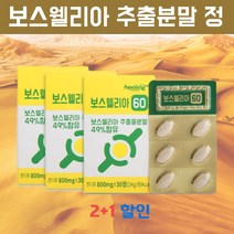보스웰리아인도 관절 인도산 보스웰리아 보스웰리스 보이스웰리아 보스벨리아 fjcc복합체 관절관리 복합식품 연골관리 복합식품 관절영양제 아님효능참고 보스웰리아분말정 약 90일