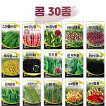 콩 씨앗 완두콩 종자 강낭콩 호랑이콩 곡류 곡물 옥수수 채소 씨 농사마트, 3. 얼룩강낭콩 30g