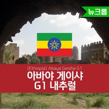 에티오피아 생두 아바야 게이샤 G1 내추럴 Abaya Geisha G1, 1KG