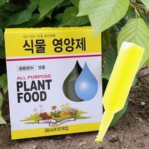 식물영양제 10P 화초 수목 난 비료 앰플, 기본