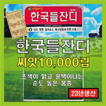 [23년산 국내생산] 잔디 씨앗/한국들잔디 - 만립(10000립) - 산소용 정원용 골프장용 축구장용
