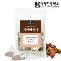 부영한방약초 허브차 한방차 차가버섯 25 티백 허브티 차, 25개입