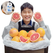 직수입 이스라엘산 평균당도 10Brix 루비자몽 레드자몽, 15kg내외/대과/40과