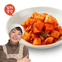 [우리땅깍두기5kg] 김수미의 엄마생각 깍두기 5kg, 단품