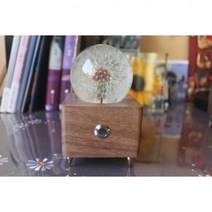 꽃무드등 인테리어 민들레씨 램프 조명 플라워 감성 선물, 6.5 민들레 블루투스 올인원 스