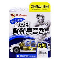 WWX914132불스원 살라딘 차량 실내용 탈취 훈증캔 쿨아쿠아 34g, 1