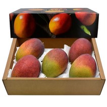 삼다몰 제주 애플망고 3kg, 1박스, 애플망고(왕특대) 3kg(5~6과)